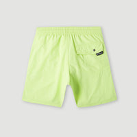Vert 14'' Swim Shorts | Sunny Lime