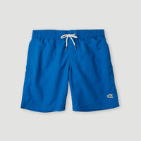 Vert 14'' Swim Shorts | Victoria Blue