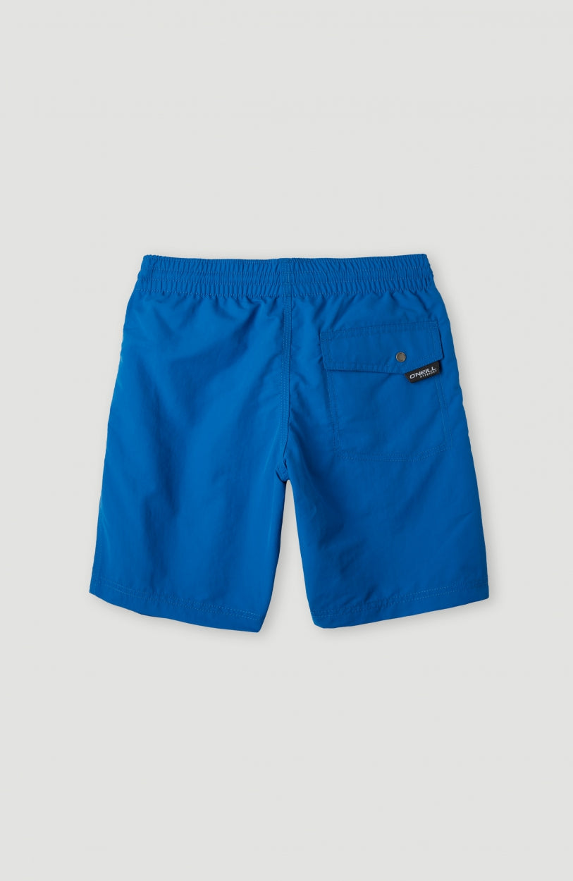Vert 14'' Swim Shorts | Victoria Blue