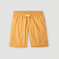 Vert 14'' Swim Shorts | Nugget
