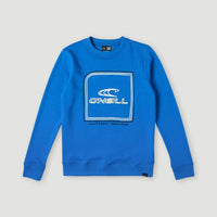 Cube Crew Sweatshirt | Directoire Blue
