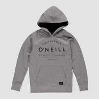 O'Neill Hoodie | Silver Melee -A