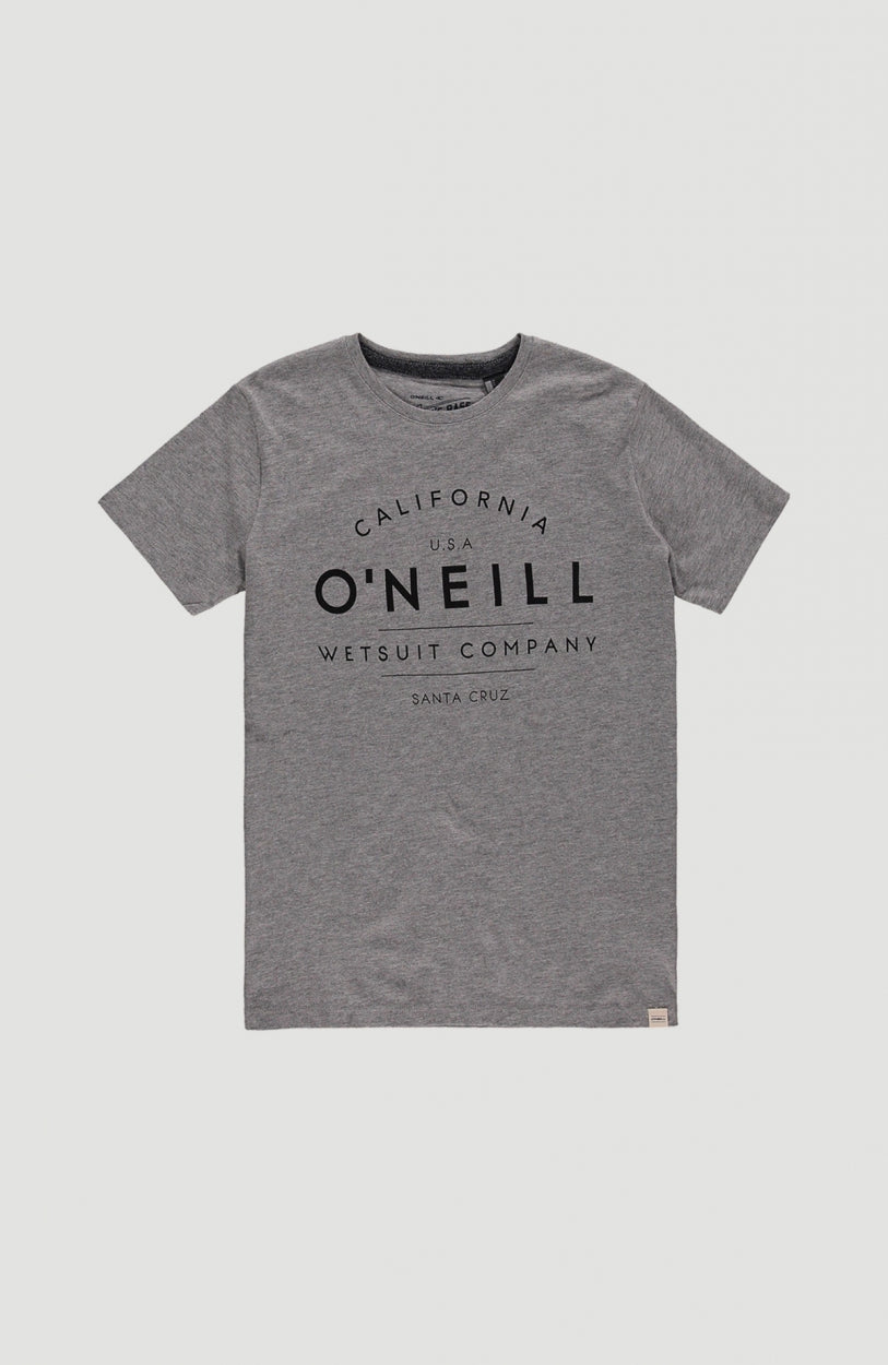 O'Neill T-Shirt | Silver Melee -A