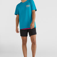 Frame Block Swim Shorts | Red Multi Stripe