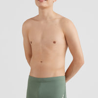 Solid Swimtrunks | Deep Lichen Green